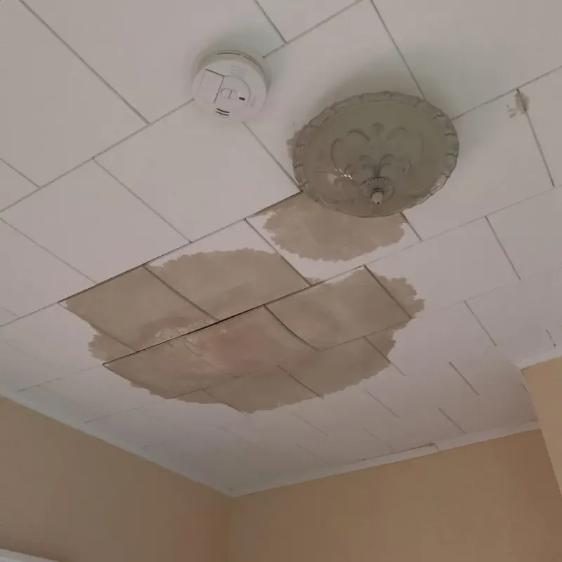 Ceiling Water Damage Repair in Hartford, WI
