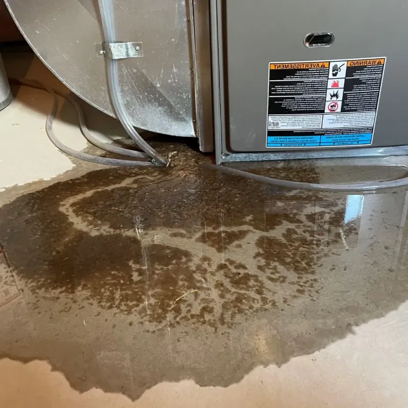 Pipe Burst and Leak Restoration in Hartford, WI